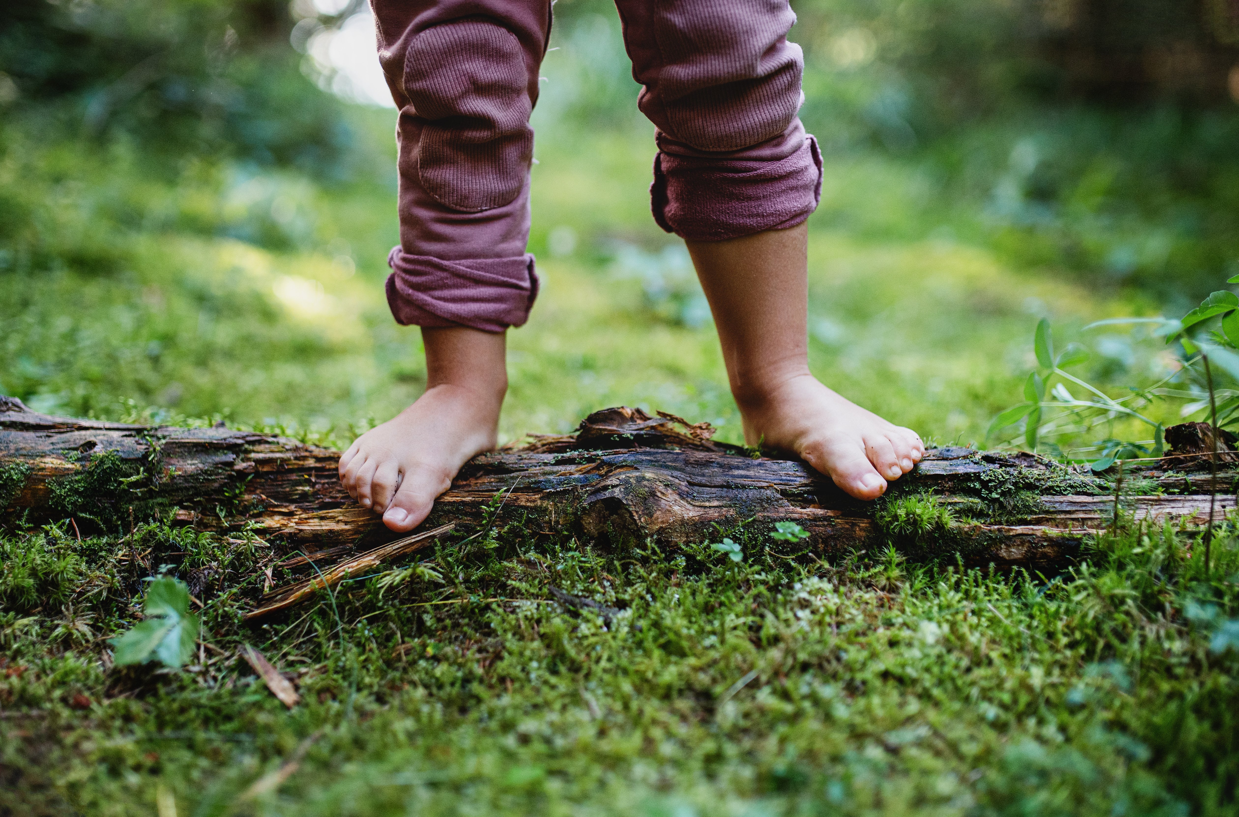 Kind im Wald