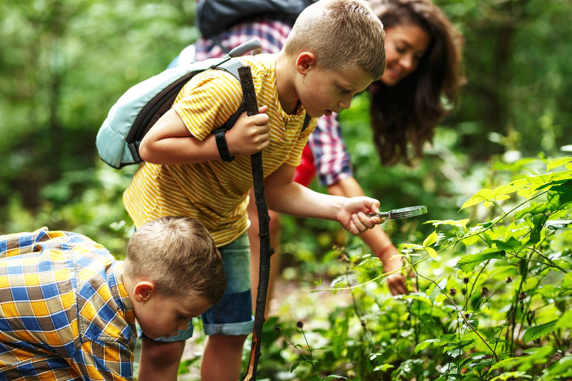 Natur erleben mit Kindern